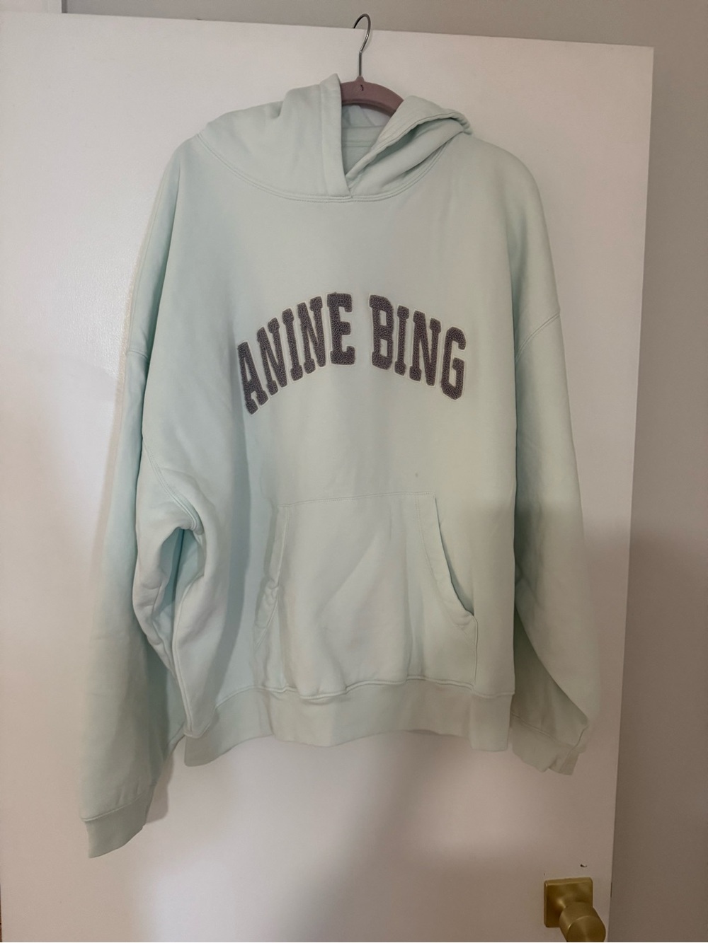 Anine Bing Mint Green Logo Hoodie